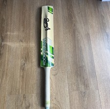 kookaburra cricket  Magma