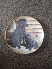 Like Father, Like Son-Franklin Mint Porcelain Decorative Plate by Nigel Hemming