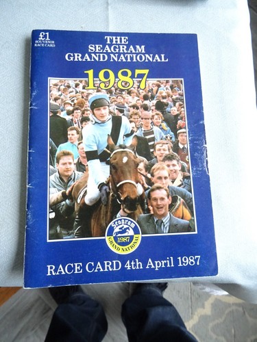 Aintree grand national - grand, race