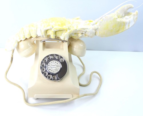 Telephone lobster ivory - telephone,