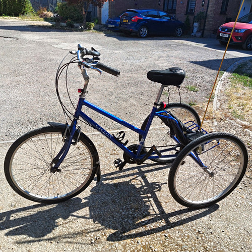 Cyclon blue adult - adult, tricycle