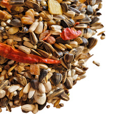 PARROT MACAW & AFRICAN GREY