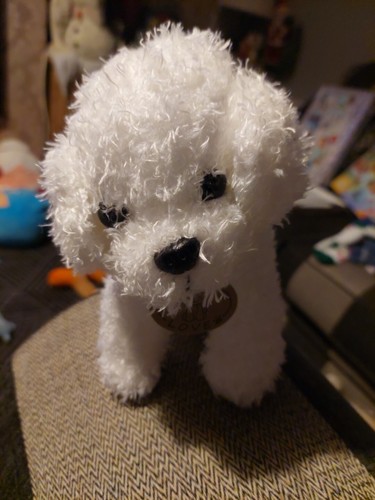 Labradoodle puppy inch - labradoodle,
