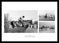Arkle Montage Horse Racing