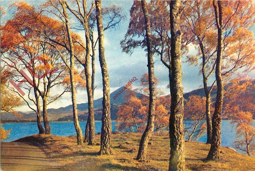 Picture postcard the shores - postcard;,
