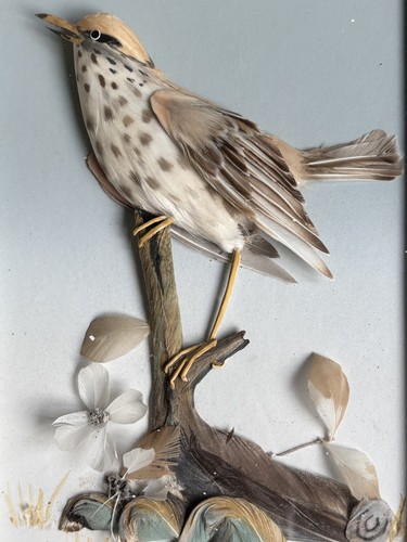 Bird made from feathers - made,