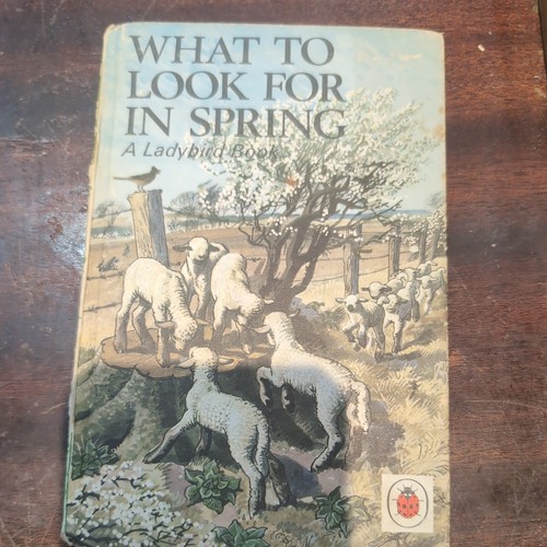 What look for spring - spring, a