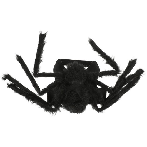 Halloween pet spider costume - halloween,