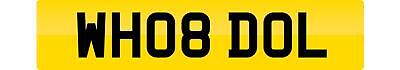 Private number plate wh08 dol - plate,