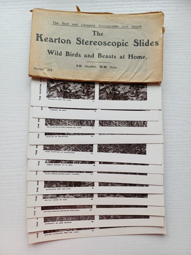 Antique kearton stereoscopic - antique,