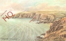 Picture Postcard:-Lizard