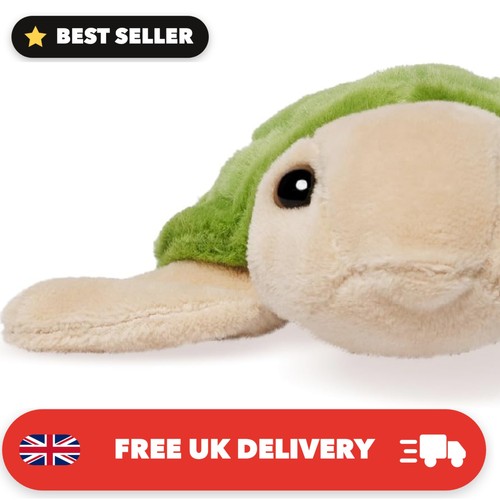 Realistic little turtle plush - little,