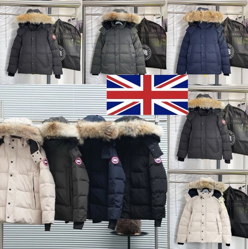 Hot canada goose - hot🔥canada,