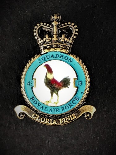 Sqn raf royal - sqn,