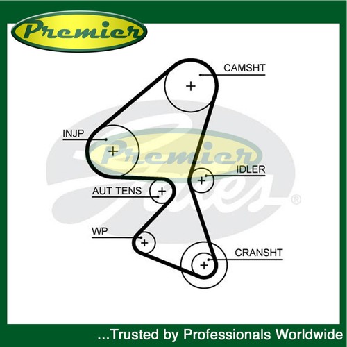 Premier timing cam belt fits - timing,