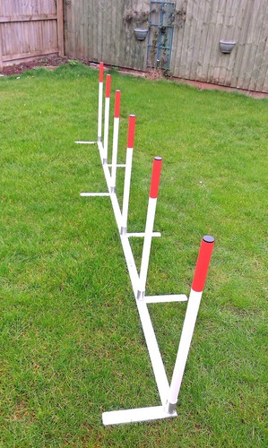 Dog agility 2x2 - dog,