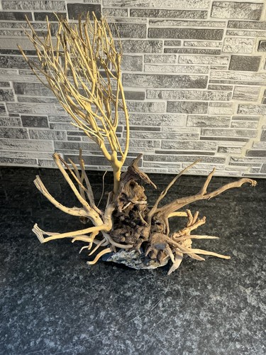 Aquarium driftwood handcrafted - aquarium,