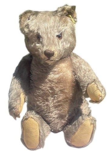 Large old 1950 steiff - old, bear