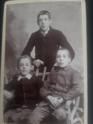 Cdv family boys brothers - cdv, 3
