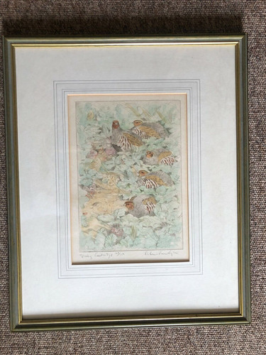 Spring partridge limited - partridge,