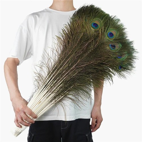 10pcs real peacock feathers - real,
