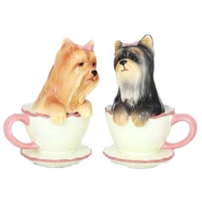 ✤ New PACIFIC GIFTWARE Salt