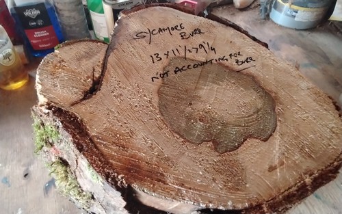 Large sycamore burr - sycamore, bowl