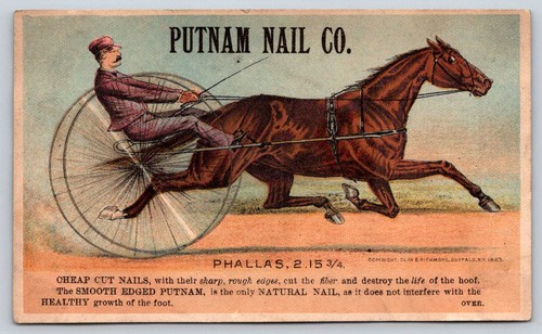 1881 putnam nail harness - 1881,