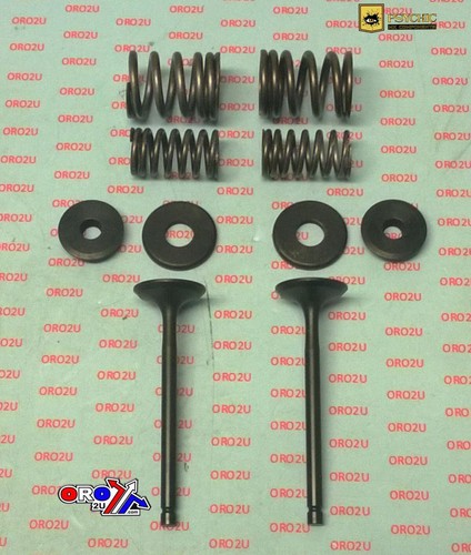 Valve kit exhaust r225 - valve,