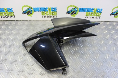 Kawasaki 1000 panel left - z,