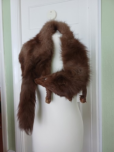 Vintage 1940s brown fur - 1940s,