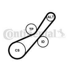 Continental ctam 6pk800k2 - continental,