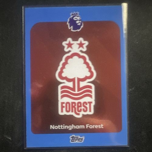 Nottingham forest badge - badge, #235