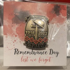 2022 UK Poppies Pin Badge