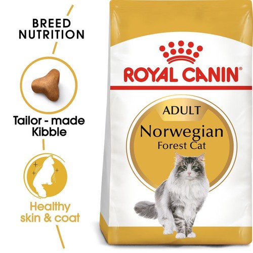 Royal canin norwegian - royal, forest