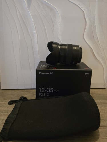 Panasonic lumix vario - g,