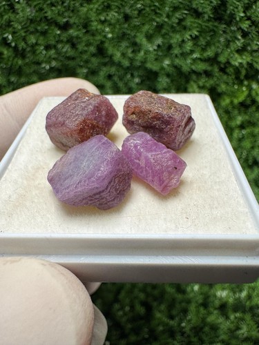 Shinynatural rubies from - rubies,