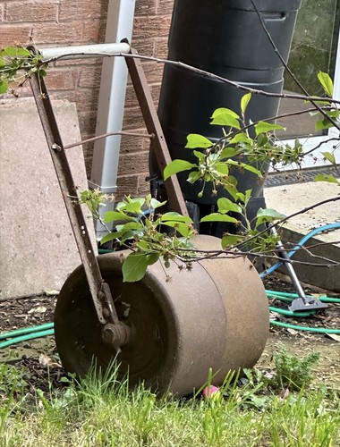 Vintage iron lawn mower - vintage,