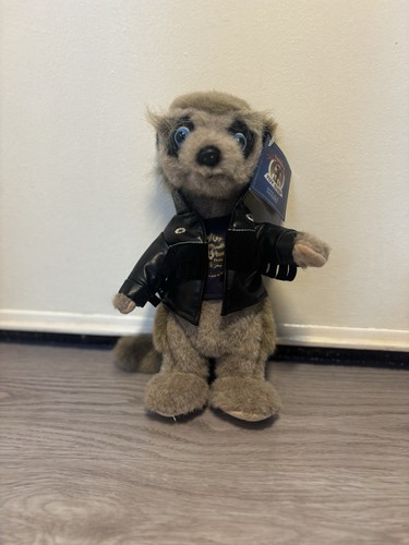 Official compare the meerkat - official,