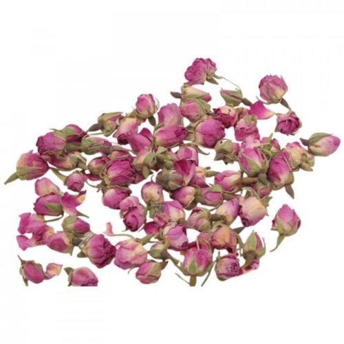 Rose buds - rose, petals