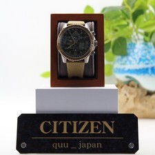 Citizen JY8074-11X Promaster
