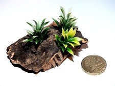  Ant farm,Ant Housing,Ant