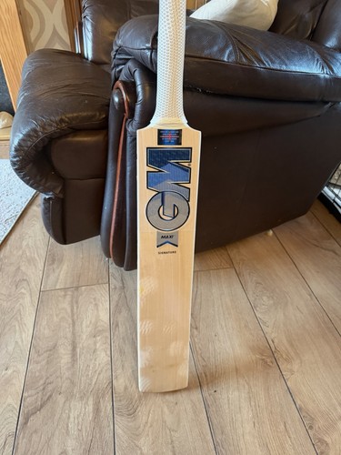 Maxi signature cricket bat - signature,