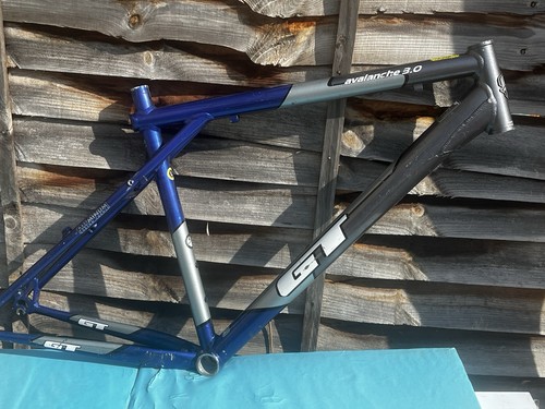 Vintage avalanche bike - vintage,
