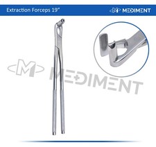 Equine Dental 19" Long Nose