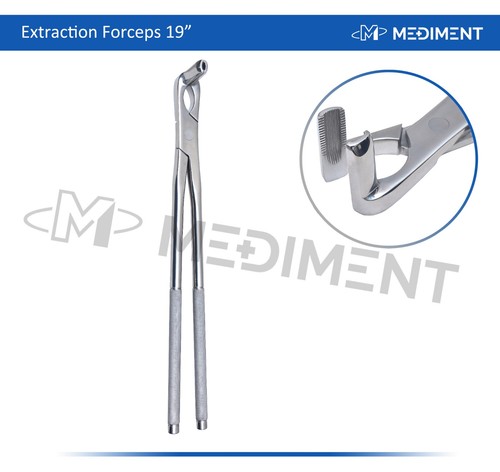 Equine dental long nose - equine,