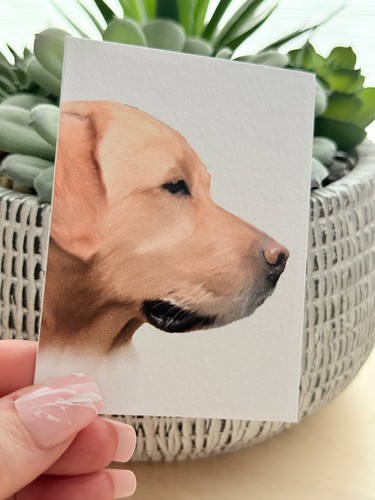 Aceo print lucky yellow - print, |