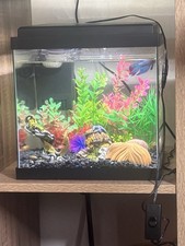 15L Fish Tank Including