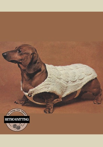 Dachshund dog coat knitting - dachshund,