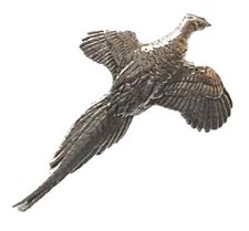 Pheasant In Flight Handcrafted